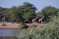 Okanjati Game Reserve &ndash; &copy; Annett Müller (Eberhardt TRAVEL)