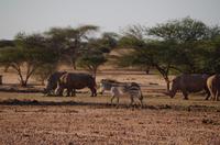 Okanjati Game Reserve &ndash; &copy; Annett Müller (Eberhardt TRAVEL)