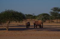 Okanjati Game Reserve &ndash; &copy; Annett Müller (Eberhardt TRAVEL)