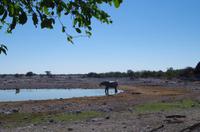 Etosha Nationalpark - Okaukuejo Resort &ndash; &copy; Annett Müller (Eberhardt TRAVEL)