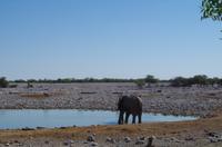 Etosha Nationalpark - Okaukuejo Resort &ndash; &copy; Annett Müller (Eberhardt TRAVEL)