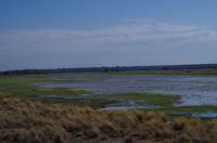 Mahango Nationalpark &ndash; &copy; Annett Müller (Eberhardt TRAVEL)