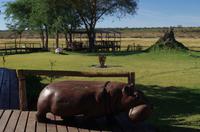 Namibia - Chobe River Camp &ndash; &copy; Annett Müller (Eberhardt TRAVEL)