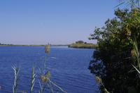Botswana - Chobe &ndash; &copy; Annett Müller (Eberhardt TRAVEL)