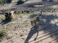 Der Schnappschuss &ndash; &copy; Annett Müller (Eberhardt TRAVEL)