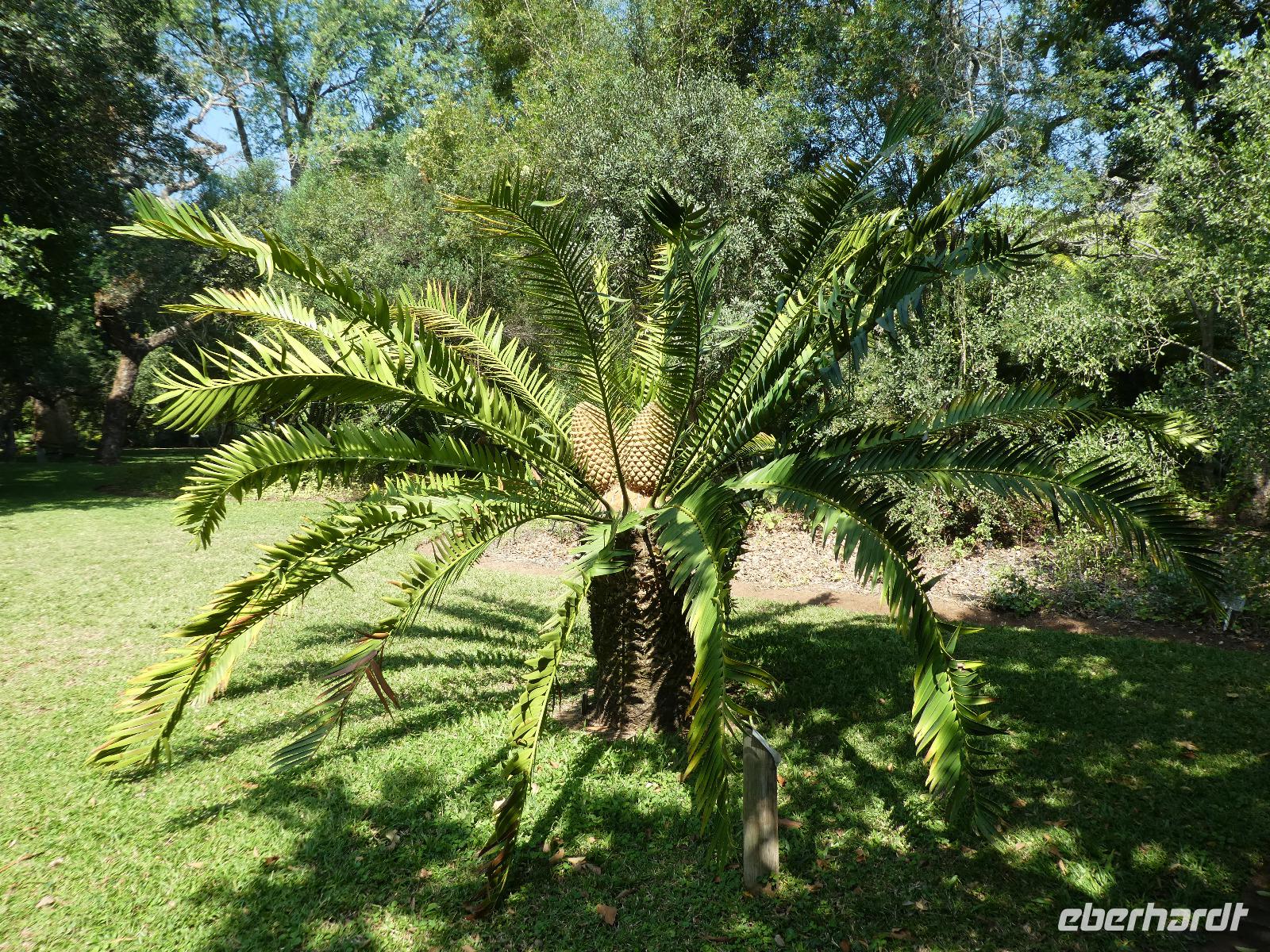 Botanischer Garten &ndash; &copy; Kerstin Hugel (Eberhardt TRAVEL)