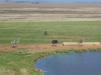Rasthof Alzu &ndash; &copy; Kerstin Hugel (Eberhardt TRAVEL)
