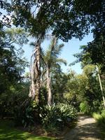 Botanischer Garten &ndash; &copy; Kerstin Hugel (Eberhardt TRAVEL)