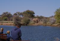 Mount Etjo Lodge - Elefanten &ndash; &copy; Annett Müller (Eberhardt TRAVEL)
