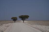 Etosha-Nationalpark &ndash; &copy; Annett Müller (Eberhardt TRAVEL)