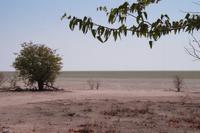 Etosha-Nationalpark - Pfanne &ndash; &copy; Annett Müller (Eberhardt TRAVEL)