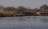 Bootsfahrt auf dem Kwando &ndash; &copy; Annett Müller (Eberhardt TRAVEL)