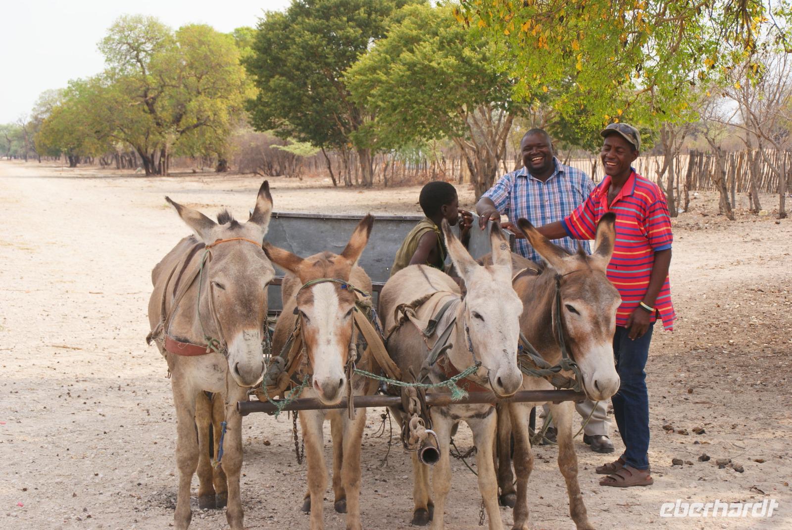 Kalahari Ferrari &ndash; &copy; Susanne Schirmann (Eberhardt TRAVEL)
