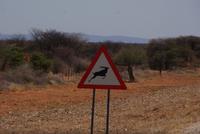 Wild Warnung &ndash; &copy; Susanne Schirmann (Eberhardt TRAVEL)