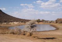 Wasserloch &ndash; &copy; Susanne Schirmann (Eberhardt TRAVEL)