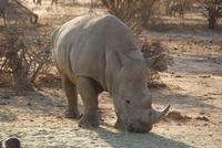 Afrika &ndash; &copy; Susanne Schirmann (Eberhardt TRAVEL)