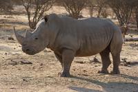 Afrika (3) &ndash; &copy; Susanne Schirmann (Eberhardt TRAVEL)