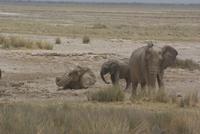 Etosha Nationalpark (2) &ndash; &copy; Susanne Schirmann (Eberhardt TRAVEL)