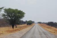 Trans Caprivi Highway &ndash; &copy; Susanne Schirmann (Eberhardt TRAVEL)
