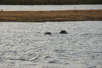 Bootssafari.J (2) &ndash; &copy; Susanne Schirmann (Eberhardt TRAVEL)