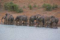 Bootssafari. Kavango (11) &ndash; &copy; Susanne Schirmann (Eberhardt TRAVEL)