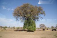 Namibia (5) &ndash; &copy; Susanne Schirmann (Eberhardt TRAVEL)