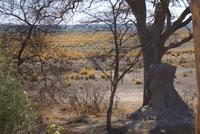 Bwabwata NP Schutzzone (3) &ndash; &copy; Susanne Schirmann (Eberhardt TRAVEL)