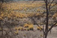 Bwabwata NP Schutzzone (4) &ndash; &copy; Susanne Schirmann (Eberhardt TRAVEL)