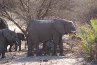 Bwabwata NP Schutzzone (8) &ndash; &copy; Susanne Schirmann (Eberhardt TRAVEL)