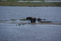 Bwabwata NP Schutzzone (13) &ndash; &copy; Susanne Schirmann (Eberhardt TRAVEL)
