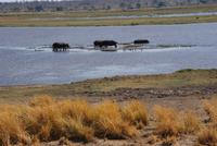 Bwabwata NP Schutzzone (16) &ndash; &copy; Susanne Schirmann (Eberhardt TRAVEL)