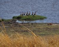 Bwabwata NP Schutzzone (17) &ndash; &copy; Susanne Schirmann (Eberhardt TRAVEL)