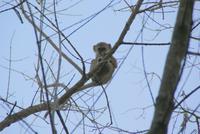 Besuch am Morgen &ndash; &copy; Susanne Schirmann (Eberhardt TRAVEL)