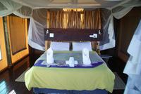 Chobe River Camp (4) &ndash; &copy; Susanne Schirmann (Eberhardt TRAVEL)