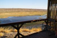 Chobe River Camp (5) &ndash; &copy; Susanne Schirmann (Eberhardt TRAVEL)
