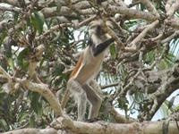 &copy; Britt Reuter-Bracklow (Eberhardt TRAVEL)