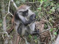 &copy; Britt Reuter-Bracklow (Eberhardt TRAVEL)