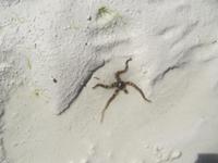 &copy; Britt Reuter-Bracklow (Eberhardt TRAVEL)