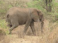 &copy; Britt Reuter-Bracklow (Eberhardt TRAVEL)