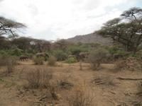&copy; Britt Reuter-Bracklow (Eberhardt TRAVEL)
