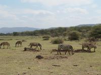 &copy; Britt Reuter-Bracklow (Eberhardt TRAVEL)