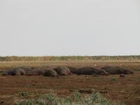 &copy; Britt Reuter-Bracklow (Eberhardt TRAVEL)