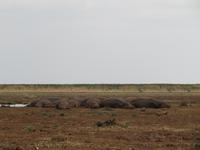 &copy; Britt Reuter-Bracklow (Eberhardt TRAVEL)