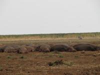 &copy; Britt Reuter-Bracklow (Eberhardt TRAVEL)