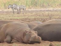 &copy; Britt Reuter-Bracklow (Eberhardt TRAVEL)