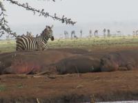 &copy; Britt Reuter-Bracklow (Eberhardt TRAVEL)