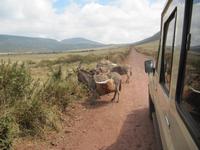 &copy; Britt Reuter-Bracklow (Eberhardt TRAVEL)