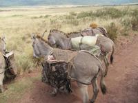 &copy; Britt Reuter-Bracklow (Eberhardt TRAVEL)