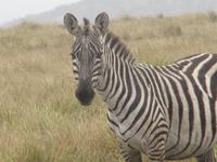 &copy; Britt Reuter-Bracklow (Eberhardt TRAVEL)