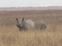 &copy; Britt Reuter-Bracklow (Eberhardt TRAVEL)
